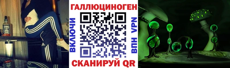 Купить где  Катав-Ивановск  Псилоцибиновые грибы прущие грибы 